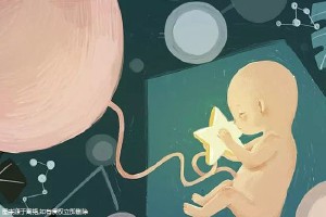 卵巢评估